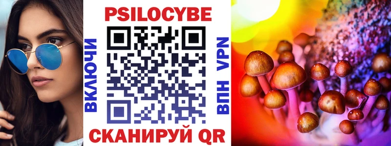 Галлюциногенные грибы Cubensis Вологда