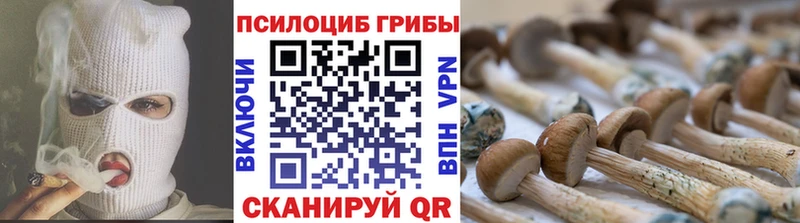 Галлюциногенные грибы Magic Shrooms МЕГА ссылка Вологда купить